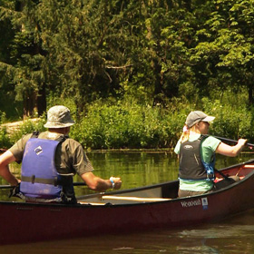 Active Nation Activities