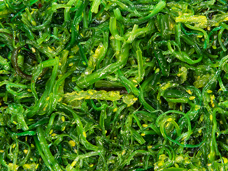 SeaVegetable