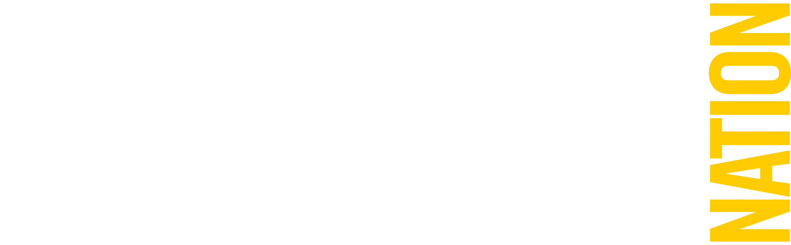 AN_WHITE_Yellow_LOGO 2